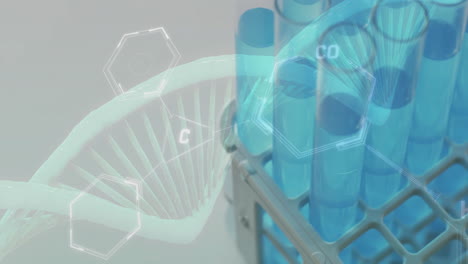 Animation-Von-DNA-Strängen-Und-Chemischen-Strukturen-über-Laborschalen-Auf-Weißem-Hintergrund