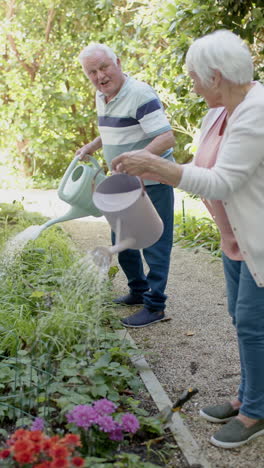 Video-Vertical-De-Una-Pareja-Caucásica-Mayor-Regando-Plantas-En-Un-Jardín-Soleado,-Cámara-Lenta