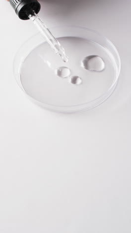 Vertical-video-of-laboratory-pipette-and-round-glass-dish-with-copy-space-on-white-background