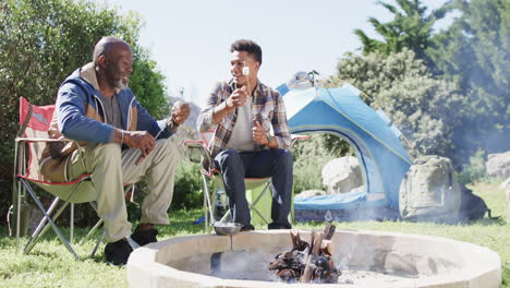 Happy-african-american-father-and-son-toasting-marshmallows-over-campfire,-copy-space,-slow-motion
