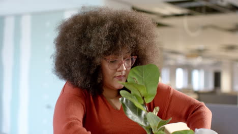 Casual-biracial-businesswoman-carrying-plant-in-box-moving-into-office,-slow-motion-with-copy-space