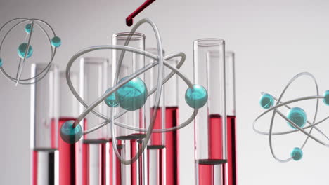 Animation-Von-Molekülen-über-Reagenzglas-Laborschalen-Auf-Grauem-Hintergrund