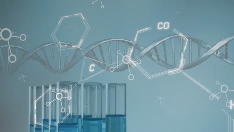 Animation-Des-DNA-Strangs-Und-Der-Wissenschaftlichen-Datenverarbeitung-über-Laborschalen-Auf-Grauem-Hintergrund