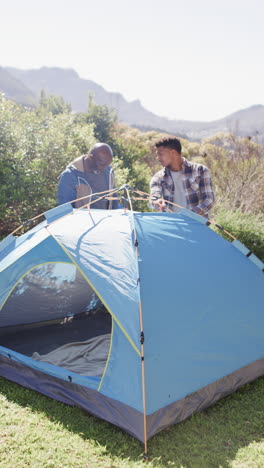 Vertical-video-of-african-american-father-and-son-pitching-tent-in-sunny-countryside,-slow-motion