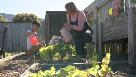 Senior-biracial-grandmother-and-grandson-watering-plants-in-sunny-garden,-slow-motion