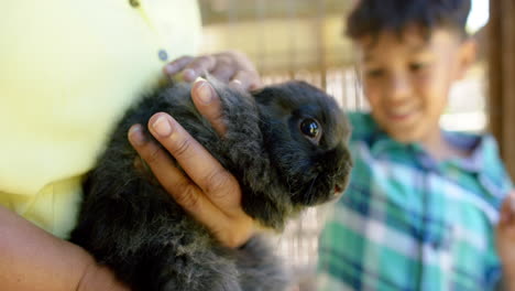 Happy-biracial-grandmother-and-grandson-holding-and-petting-rabbits,-slow-motion
