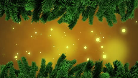 Animation-of-fir-tree-branches-with-glowing-lights-on-yellow-background