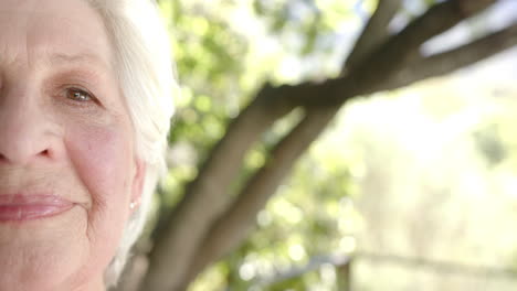 Half-portrait-of-happy-senior-caucasian-woman-with-white-hair-in-sun,-copy-space,-slow-motion