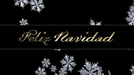 Animation-Des-Textes-„Feliz-Navidad“-über-Schneeflocken-Auf-Schwarzem-Hintergrund
