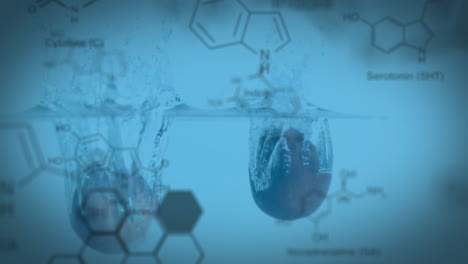 Animation-Von-Molekülstrukturen-über-Äpfeln,-Die-Vor-Blauem-Hintergrund-Ins-Wasser-Fallen