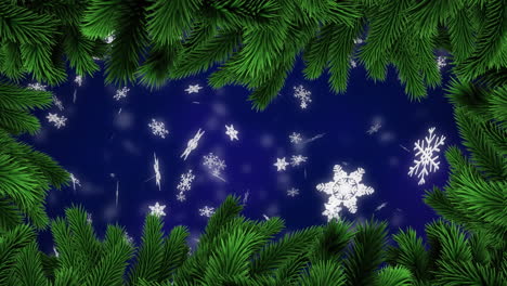 Animation-Von-Weihnachtsdekorationen-über-Tannenzweigen-Auf-Blauem-Hintergrund