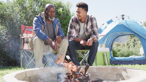 Glücklicher-Afroamerikanischer-Vater-Und-Sohn-Toasten-Marshmallows-über-Lagerfeuer,-Kopierraum,-Zeitlupe