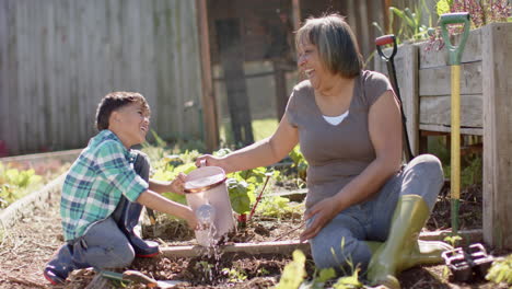 Happy-senior-biracial-grandmother-and-grandson-watering-plants-in-sunny-garden,-slow-motion