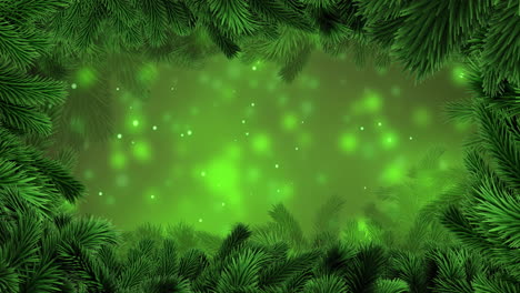 Animation-of-christmas-fir-tree-branches-and-snow-falling-on-green-background