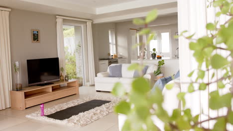 General-view-of-light-modern-interiors-with-sitting-room-with-sofa-and-tv,-copy-space,-slow-motion