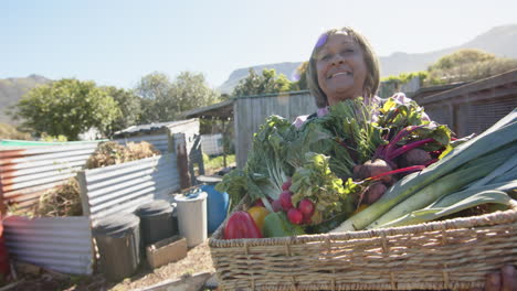 Portrait-of-happy-senior-biracial-woman-holding-basket-with-vegetables-in-sunny-garden,-slow-motion