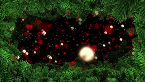 Animation-of-christmas-tree-branches-over-snow-falling-background