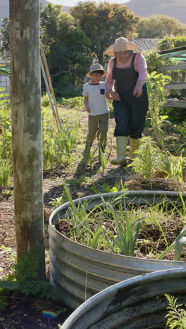 Vertikales-Video-Einer-Großmutter-Mit-Gemischter-Abstammung-Und-Ihrem-Enkel-Beim-Spaziergang-Im-Sonnigen-Garten,-Zeitlupe