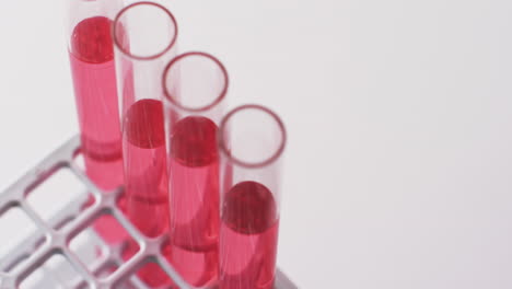 Video-of-glass-laboratory-test-tubes-with-red-liquid-and-copy-space-on-white-background