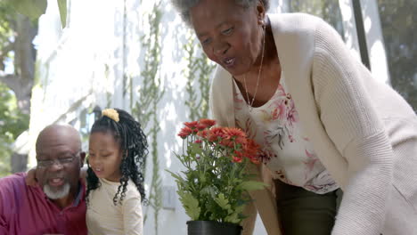 Felices-Abuelos-Y-Nietos-Afroamericanos-Plantando-Flores-En-Un-Jardín-Soleado,-Cámara-Lenta