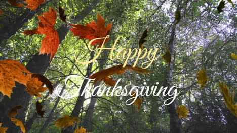 Animation-of-happy-thanksgiving-text-over-leaves-and-low-angle-view-of-trees-against-sky
