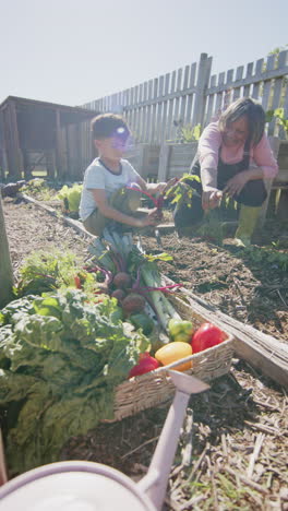 Video-Vertical-De-Abuela-Birracial-Y-Nieto-Recogiendo-Verduras-En-Un-Jardín-Soleado,-Cámara-Lenta