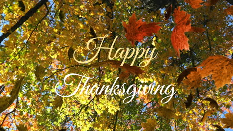 Animation-of-happy-thanksgiving-text-and-falling-leaves,-low-angle-view-of-trees-against-sky