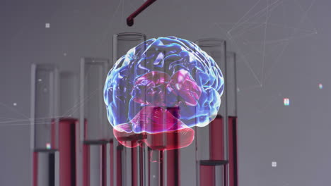 Animation-Des-Menschlichen-Gehirns-über-Laborschalen-Auf-Grauem-Hintergrund