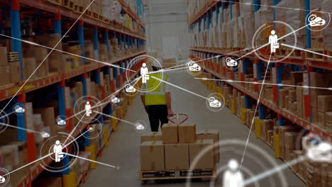 Animation-of-connected-icons,-caucasian-coworkers-pulling-trolley-with-cardboard-boxes-in-warehouse