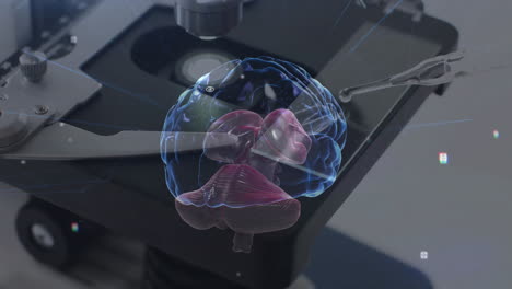 Animation-Der-Rotation-Des-Menschlichen-Gehirns-Und-Der-Datenverarbeitung-Unter-Verwendung-Eines-Labormikroskops