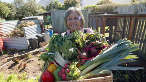 Glückliche-ältere-Frau-Mit-Gemischter-Abstammung,-Die-Einen-Korb-Mit-Gemüse-Im-Sonnigen-Garten-Hält,-Zeitlupe