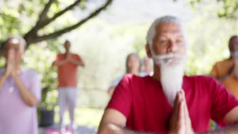 Focused-diverse-senior-male-instructor-and-friends-practicing-yoga-in-sunny-nature,-slow-motion