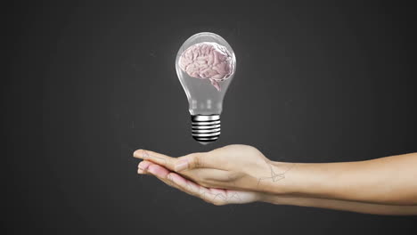 Animation-of-human-brain-in-light-bulb-over-woman's-hands-on-grey-background
