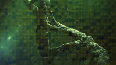 Animation-Eines-DNA-Strangs,-Der-Sich-über-Grünem-Hintergrund-Dreht