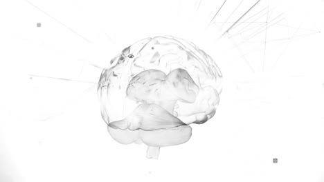Animation-Der-Datenverarbeitung-über-Dem-Menschlichen-Gehirn-Auf-Weißem-Hintergrund