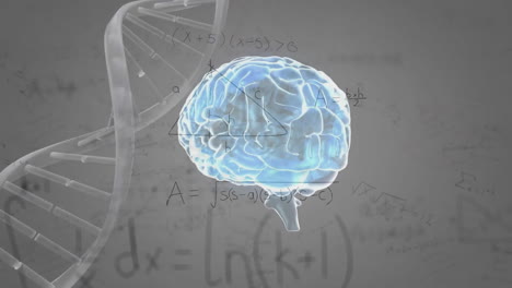 Animation-Von-DNA-Strang,-Menschlichem-Gehirn-Und-Datenverarbeitung