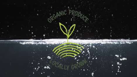 Animation-of-organic-produce-text-over-fruit-falling-in-water-background