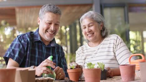 Happy-diverse-senior-couple-sitting-at-table-and-planting-plants-to-pots-on-porch