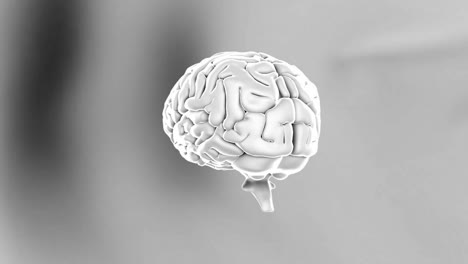Animation-of-human-brain-spinning-on-grey-background