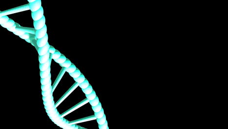 Animation-Eines-Sich-Drehenden-DNA-Strangs-Mit-Kopierraum-Auf-Schwarzem-Hintergrund