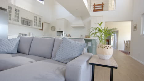 Graues-Sofa,-Hausblume-Und-Fenster-Im-Sonnigen-Zuhause