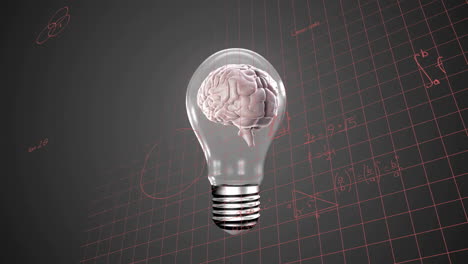 Animation-of-mathematical-data-processing-over-human-brain-in-lightbulb