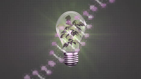 Animation-Eines-DNA-Strangs-über-Einer-Glühbirne-Mit-Pflanze