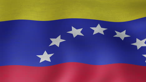 Animación-Del-Primer-Plano-De-La-Bandera-Ondeante-De-Venezuela