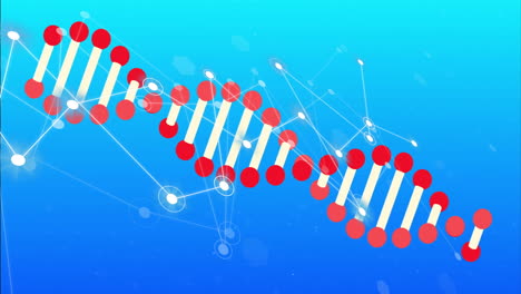 Animation-Von-DNA-Strängen-Und-Verbindungsnetzwerken