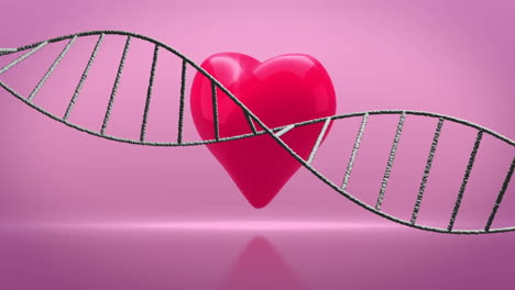 Animation-of-dna-strand-over-red-heart-on-pink-background