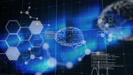 Animation-of-human-brains-and-scientific-data-processing-over-grid