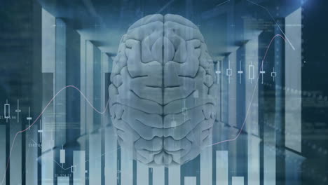 Animation-of-statistics-and-financial-data-processing-over-human-brain
