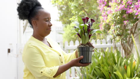 Glückliche-Afroamerikanische-Seniorin-Pflegt-Pflanzen-Und-Lächelt-Im-Sonnigen-Garten,-Zeitlupe