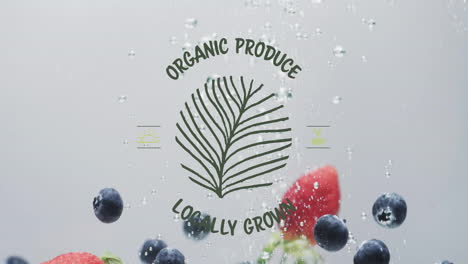 Animation-of-organic-produce-locally-grown-text-over-fruit-falling-in-water-background